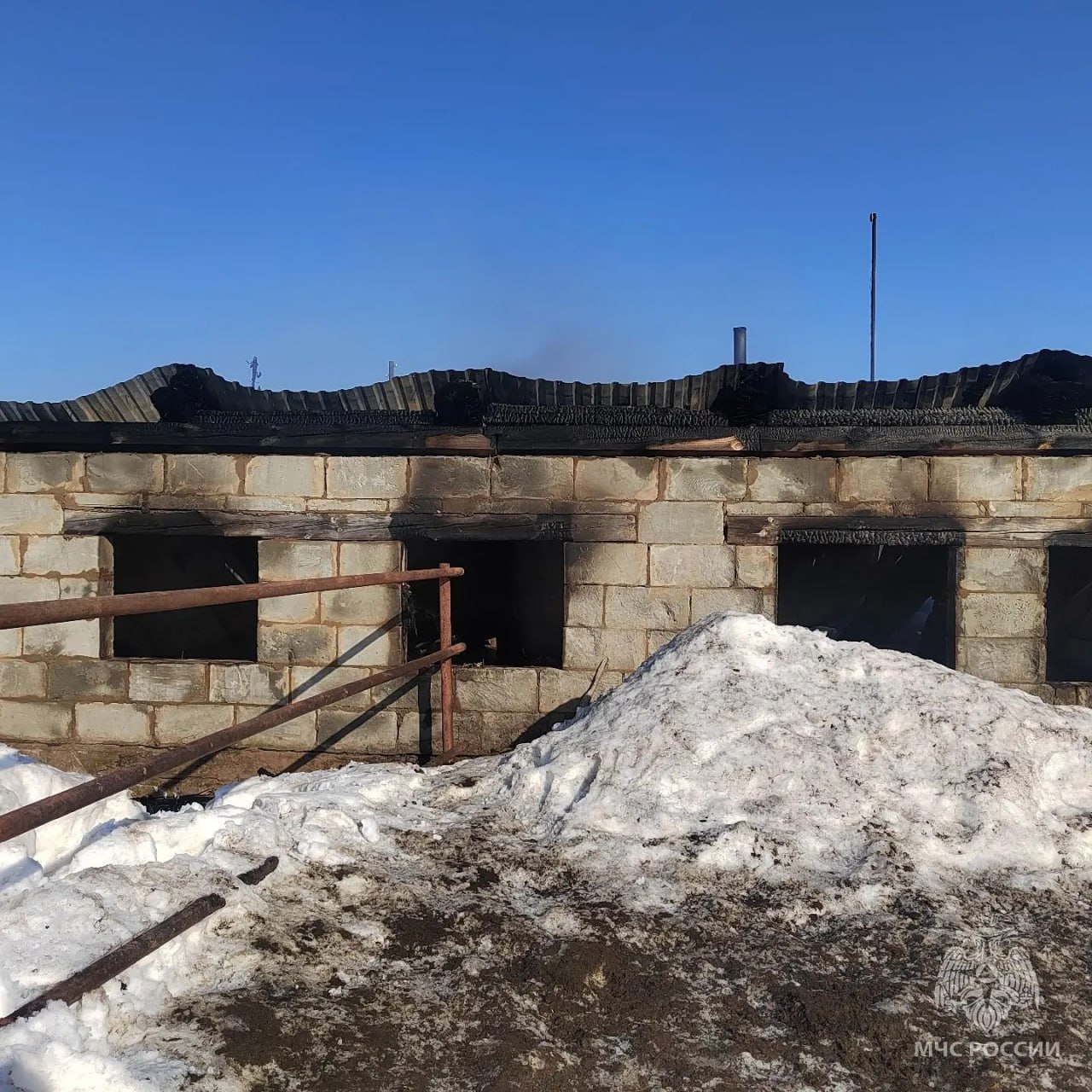 Пожарные спасли 180 коров в Унинском округе Пожарные спасли 180 коров в Унинском округе