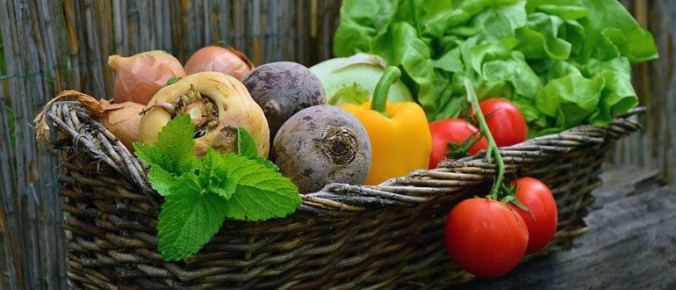 ��� ������� �������� ������: �������� �������