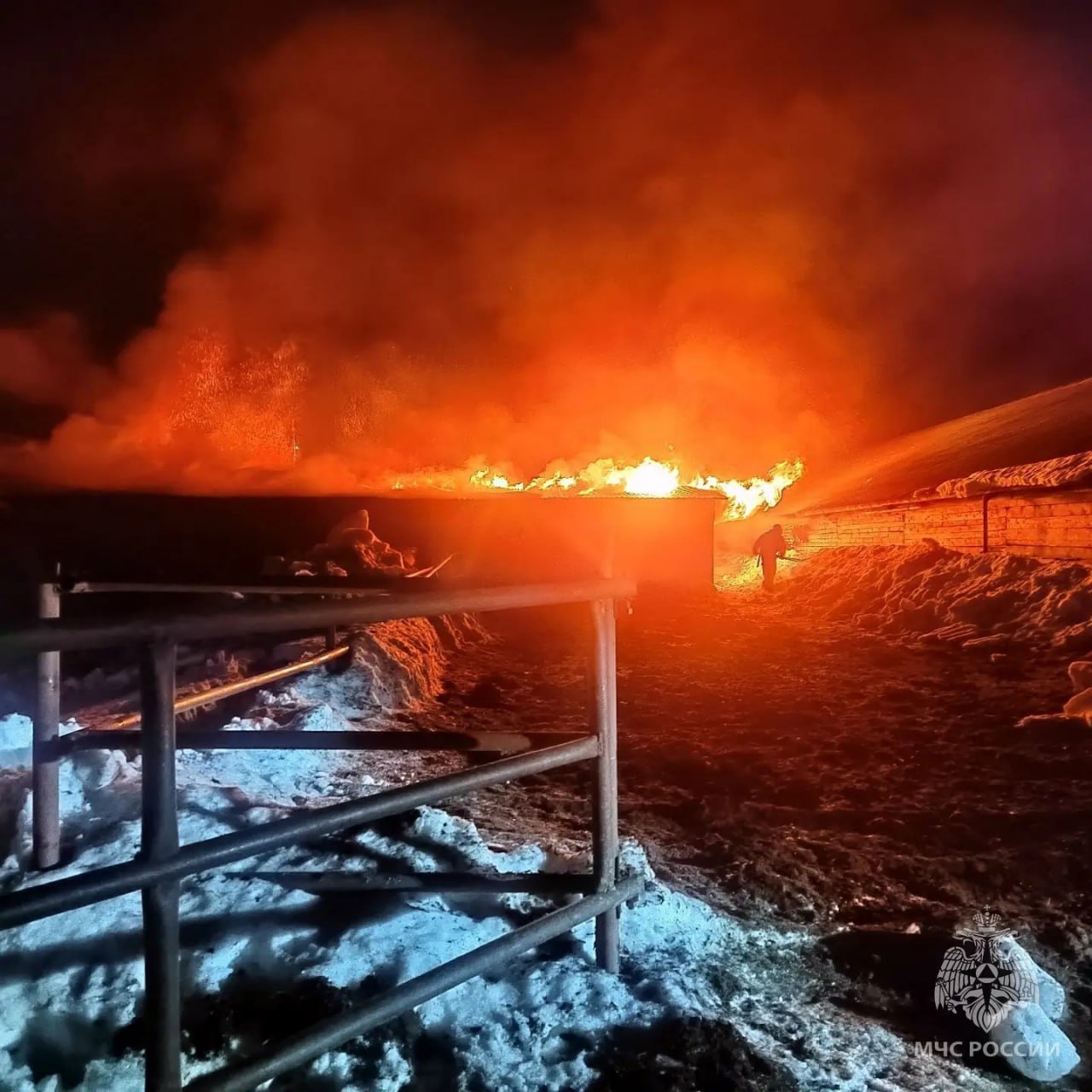 Пожарные спасли 180 коров в Унинском округе