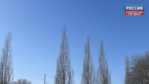 Во вторник, 17 марта, в Кировской области прогнозируют переменную облачность без существенных осадков, ночью на дорогах гололед, рассказали в региональном центре по гидрометеорологии и мониторингу окружающей среды региона