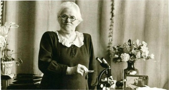 ��� ��������� �������� �� ������ ����: ������� ������� ����� �����������