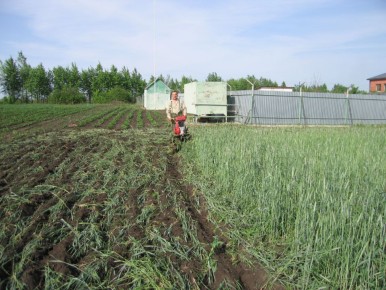 ��� �������������� ���������� ��������� �� ��������� ������ �������