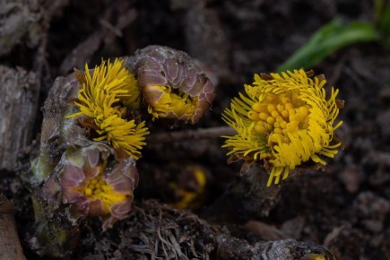 �� ���������� � ����� ���������� ������ ���������� ������ �����