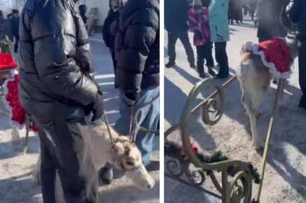 �������� �����, ��������� ������ �� ���������, ���������� � ������� �������