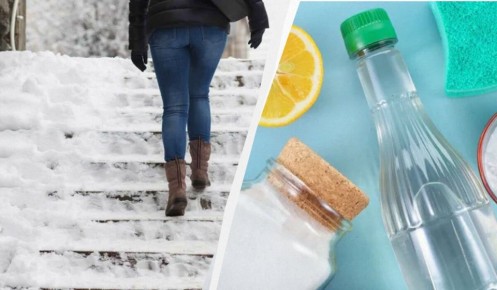 ��� �������� ���: ��������� � ����������� �������