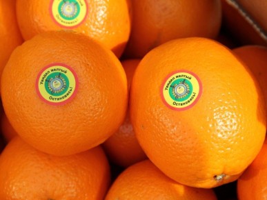 ���� �� ��������� ������� �� ���������� ��������