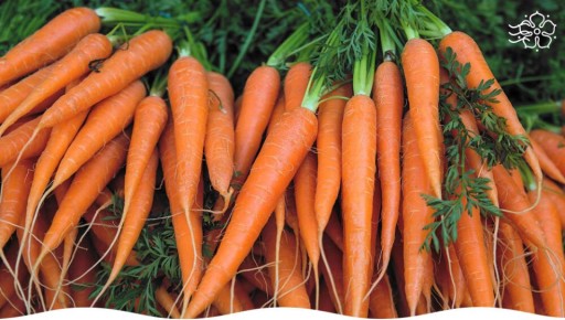 ������ ����� ������� ��� ������������� ���������� ����