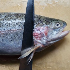 Как засолить красную рыбу: секреты классического рецепта