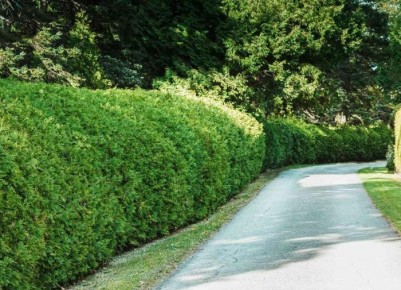 ����� ��������� �������� ����� ��������