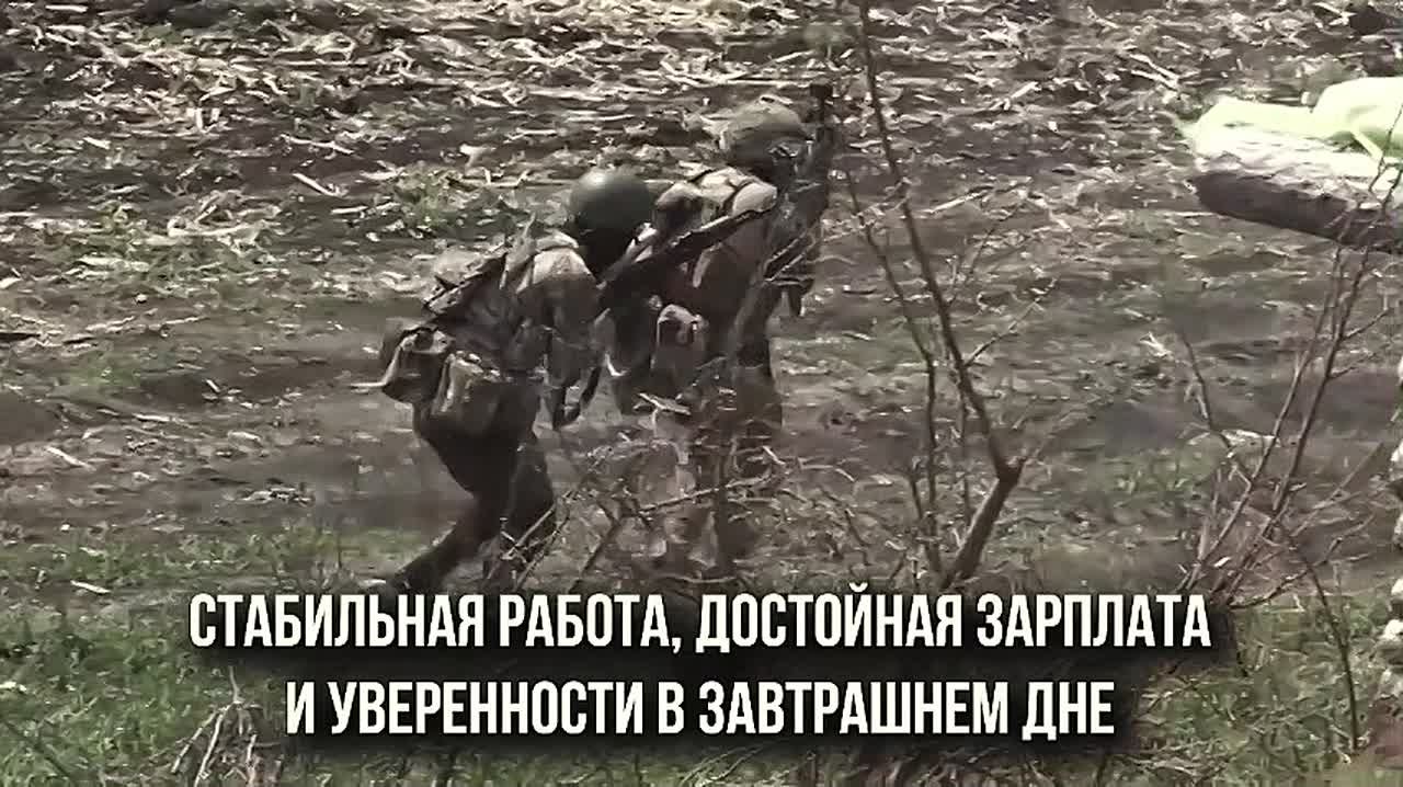 Служба по контракту от Кировской области — это: