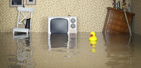 Затопила квартира из-за радиатора: как восстановить справедливость?