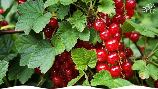 ������ ����� ���������, ������� ����� ��������� � ����� ����