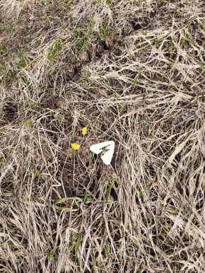 � ������ ������� ����-�-������