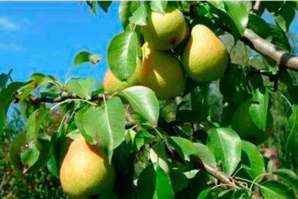 ����� ������: ��������� ����� ��� ���������