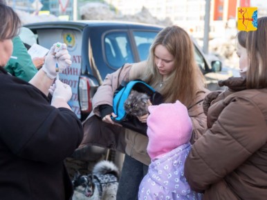 � ��������� ������� �������� �������� �������� �� ���������� �������� ������ ���������