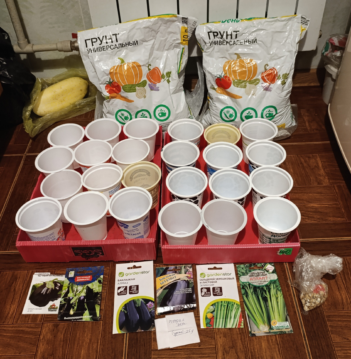 Пора сажать перцы и баклажаны: советы от экспертов по садоводству