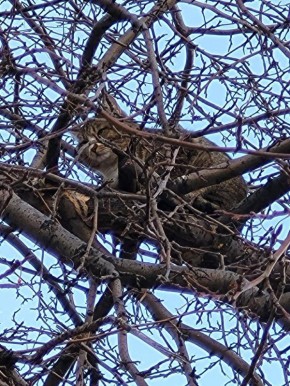 #��������������. � ������� �� �������� �������� ����� ��������� ������ ��������