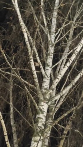 ������ � ������ ������ �������� �� ����