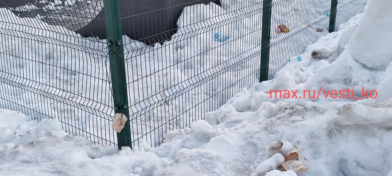 Малолетние вандалы начали ломать ограждение и гадить на новой спортплощадке в парке Гагарина в Кирове Малолетние вандалы начали ломать ограждение и гадить на новой спортплощадке в парке Гагарина в Кирове