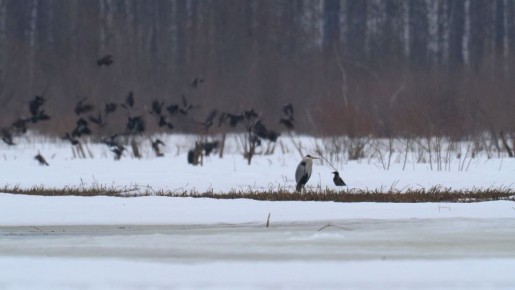 ���������� ����� ������������ � ������ ����