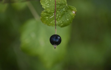 ��� �������� ������ ���������: ������� � �������