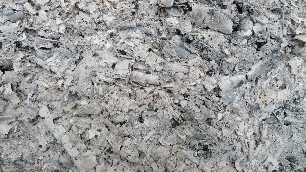 Когда зола может быть опасной для здоровья и экологии