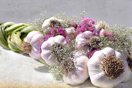 �������� �������: ��������� ������� � ����������� ������������