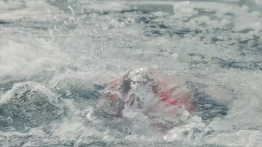 ��������: ������ ���!. � �������� ����� � ���������� ����������� ������� ��� �� �������� ���������� �������� � ������, ����������� ����� �����, ������������, ����������� ��������� �������