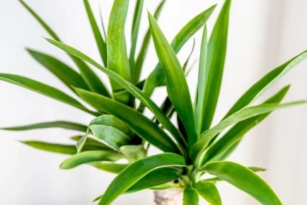 �������� ����: ��������� �������� ��� ��������� ���������