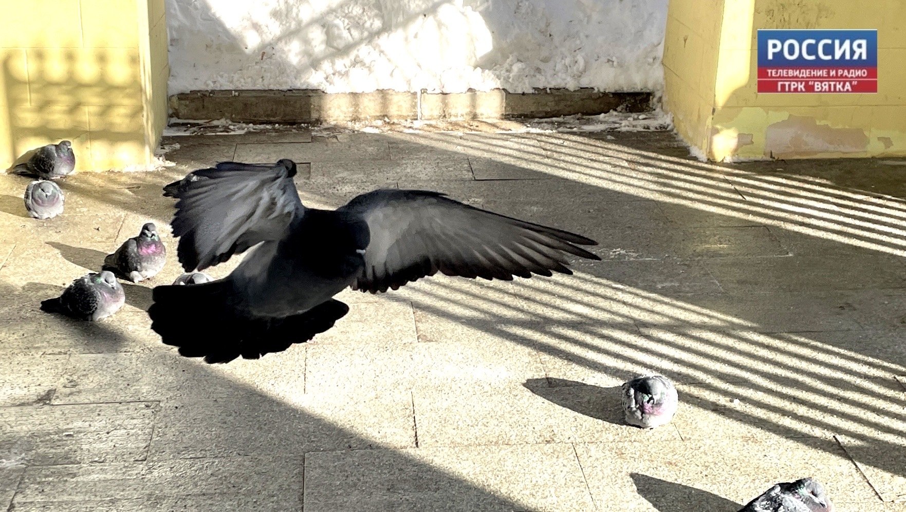 В понедельник, 30 марта, в Кировской области прогнозируют малооблачную погоду без существенных осадков, рассказали в региональном Центре по гидрометеорологии и мониторингу окружающей среды