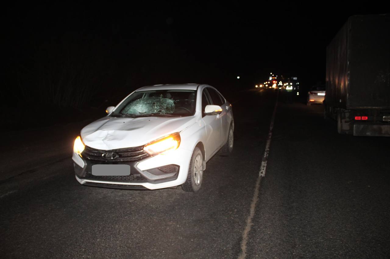 Информация носит предварительный характер Информация носит предварительный характер