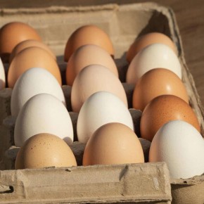 �� ���������� ����������� ���������� �������� �������� �������������� ����� ��� �� ������� ���� � ��������� �������