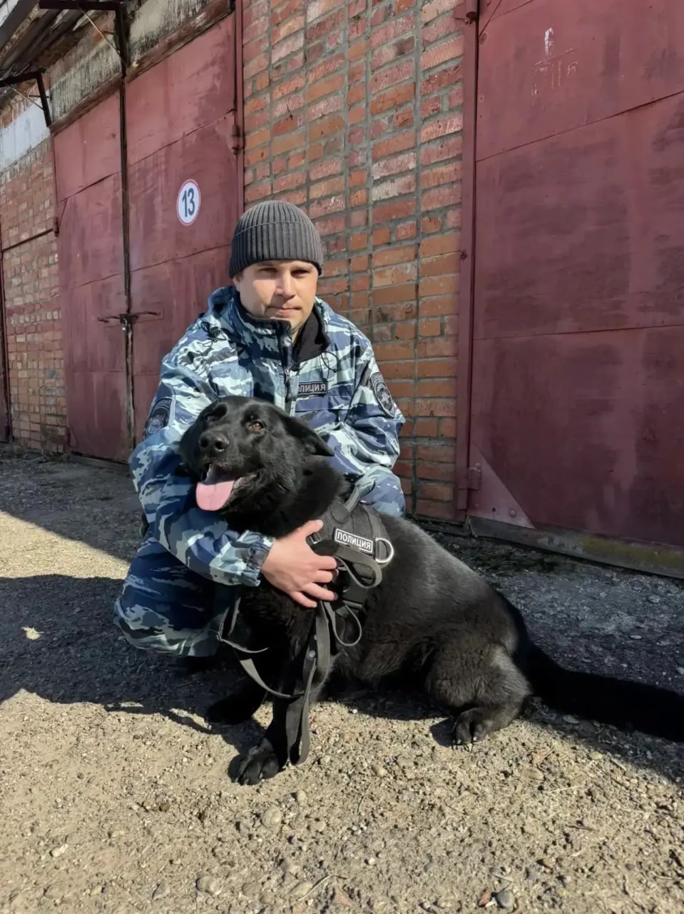 В Пасегово служебно-разыскная собака по кличке Фаля помогла поймать вора