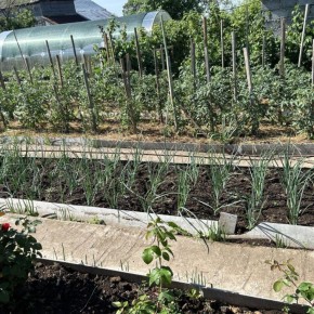 ��� �������� ������������ ������ �������� � ������� � �������������� ������� ��������