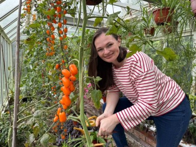 ������� ��������� ������ ������� ��� ���������� ���������