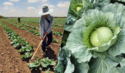 ��� ���������� �������� ������� � ��������� ����� ��� ����� ������