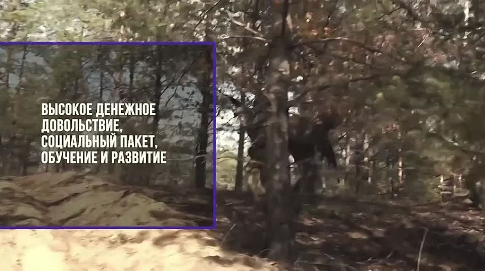 ������ �� ��������� �� ��������� ������� � ���:
