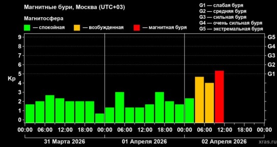 �� ����� �������� ��������� ����