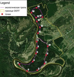 � ���� ������������ ����������� ������� ������������� �����