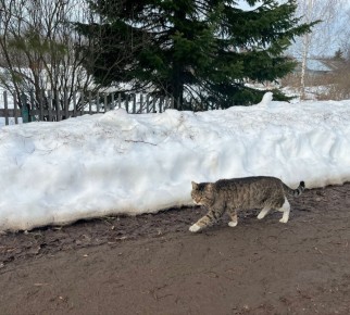 - ����� �� �����, ����� ����