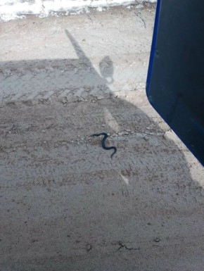 ��������� ������� ���������� ����