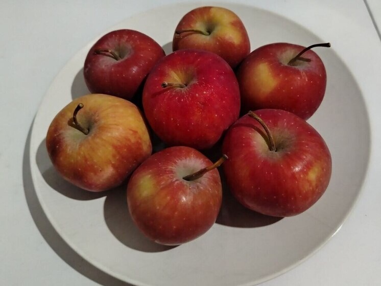 Новые рекомендации: как правильно перекусывать для здоровья