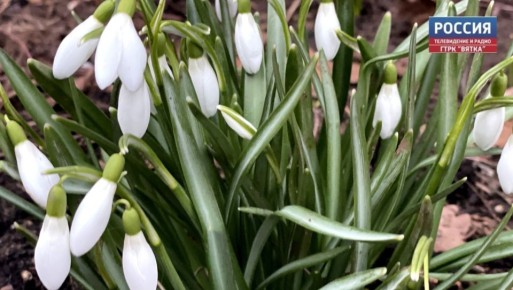 � �����������, 6 ������, � ��������� ������� ������������ �������� ������ � �����, �������� � ������������ ������ �� ����������������� � ����������� ���������� �����