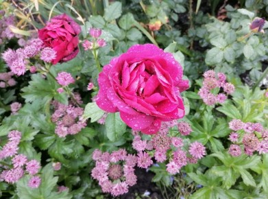 ����� ���: ��� ����������� ����� � ������� ������