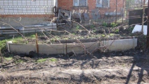 ��� ��������� ��������� �������� ������: ������ � ������ ��� ��������� ������