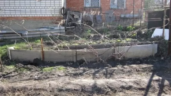 Как правильно подвязать виноград весной: советы и методы для успешного урожая