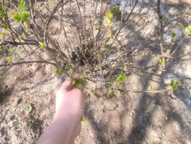 ��� ������ ���������� ��������� ��� �������� ������