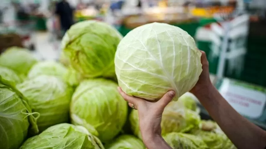 Секреты идеальных щей от шеф-повара