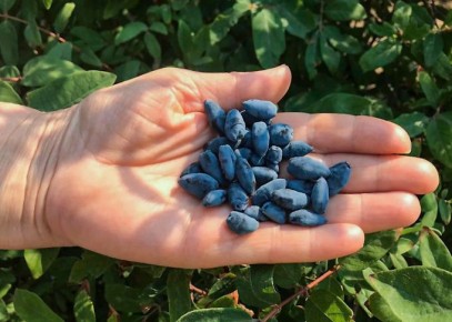 ������� ��������� ����� �� ���������� � ����� ����: ��� ������� ��������� ������� ��� �������� ������