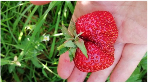 ������ ������ �������� � ����� ������